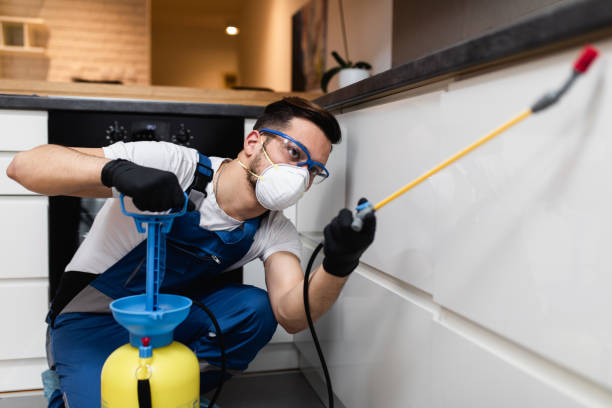 Best Pest Control for Businesses  in West Crossett, AR