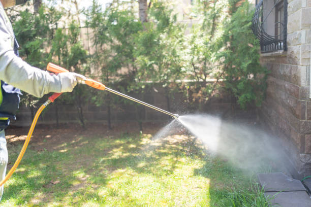 Best Mosquito Control Services  in West Crossett, AR