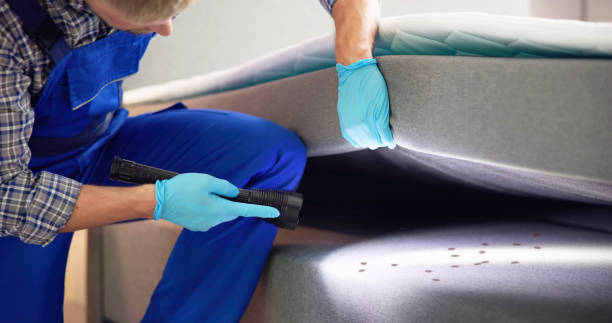 Best Mosquito Control Services  in West Crossett, AR