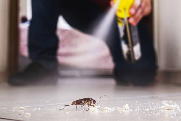 Best Commercial Pest Control Services  in West Crossett, AR